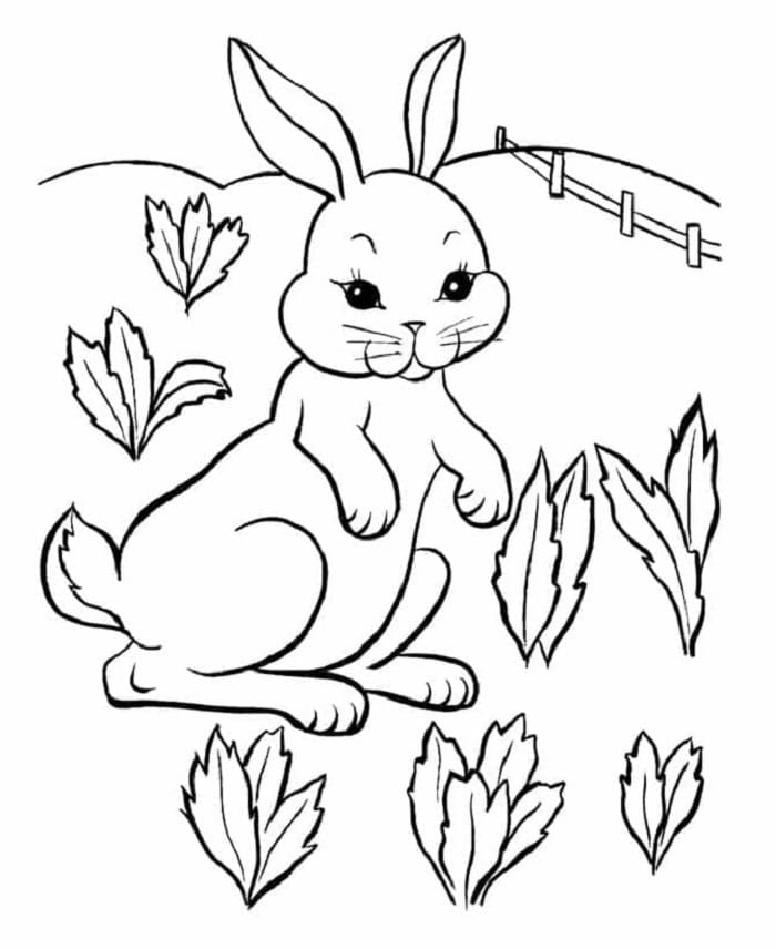 Printable Rabbit In The Garden Coloring Page
