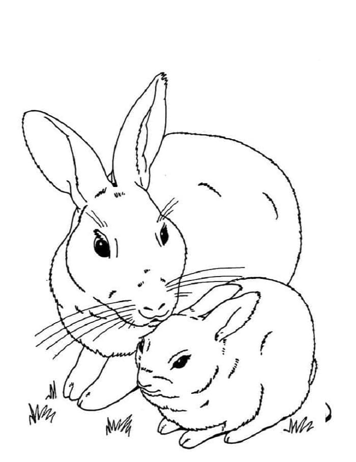 Printable Rabbits Coloring Page Activity
