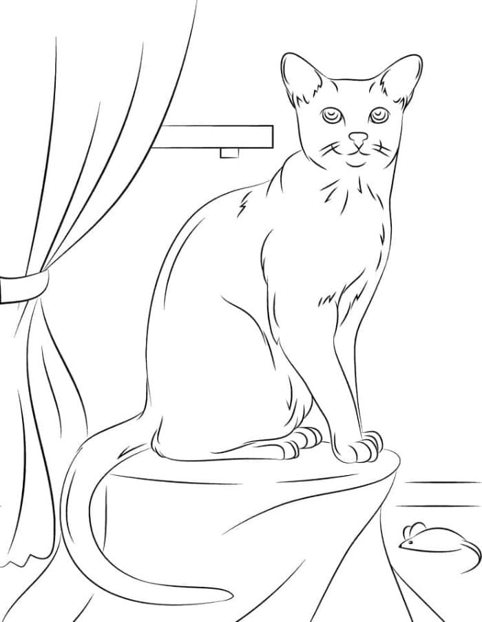 Printable Russian Blue Cat Coloring Page