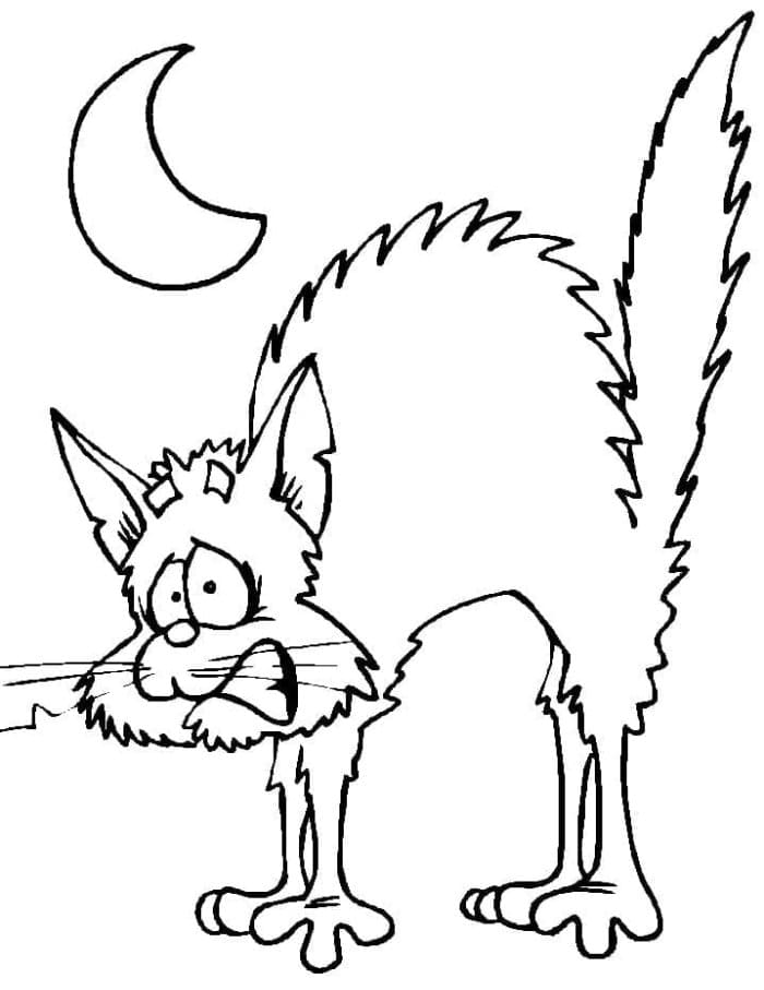 Printable Scared Cat Coloring Page