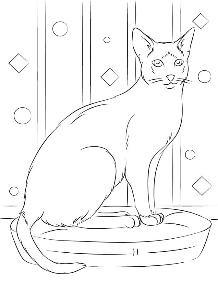 Printable Siamese Cat Coloring Page
