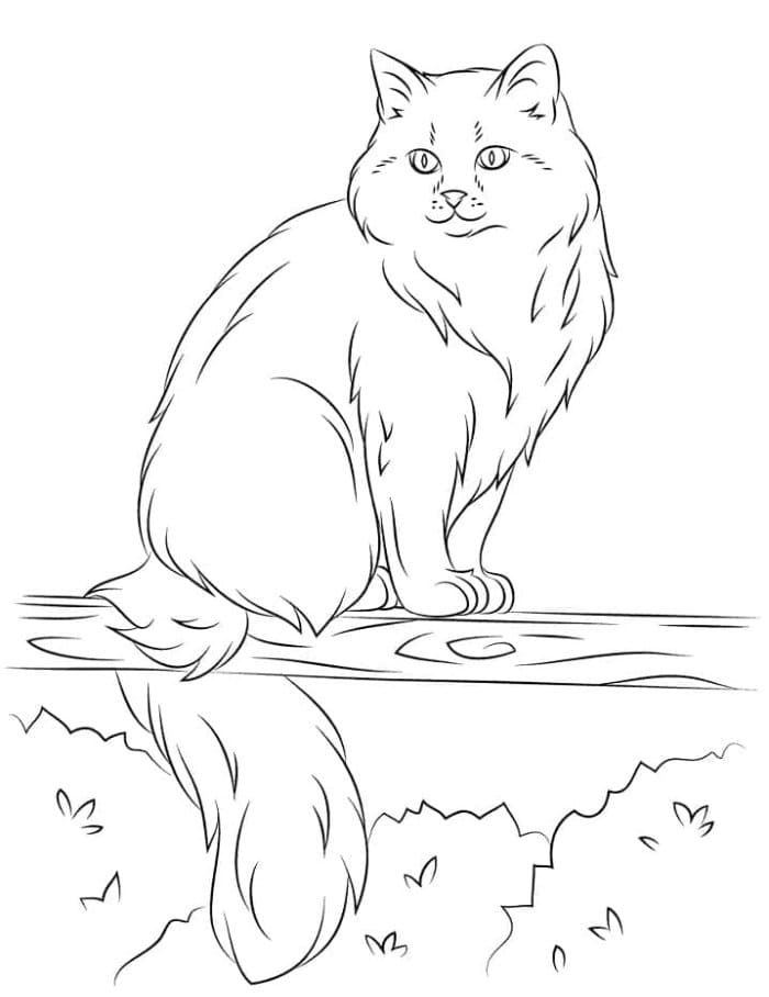 Printable Siberian Cat Coloring Page