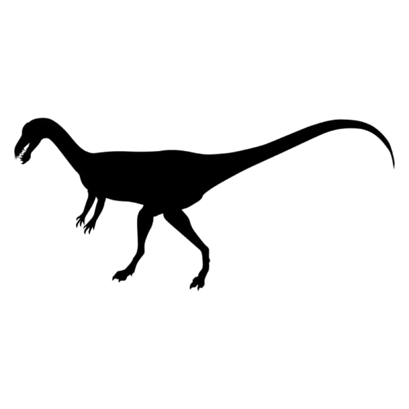 Printable Syntarsus Dinosaur Stencil