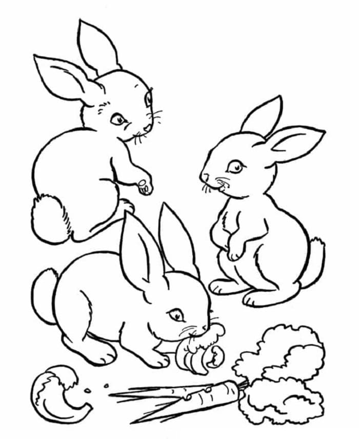 Printable Three Rabbits Coloring Page