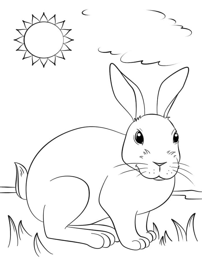 Printable Wild Rabbit Coloring Page