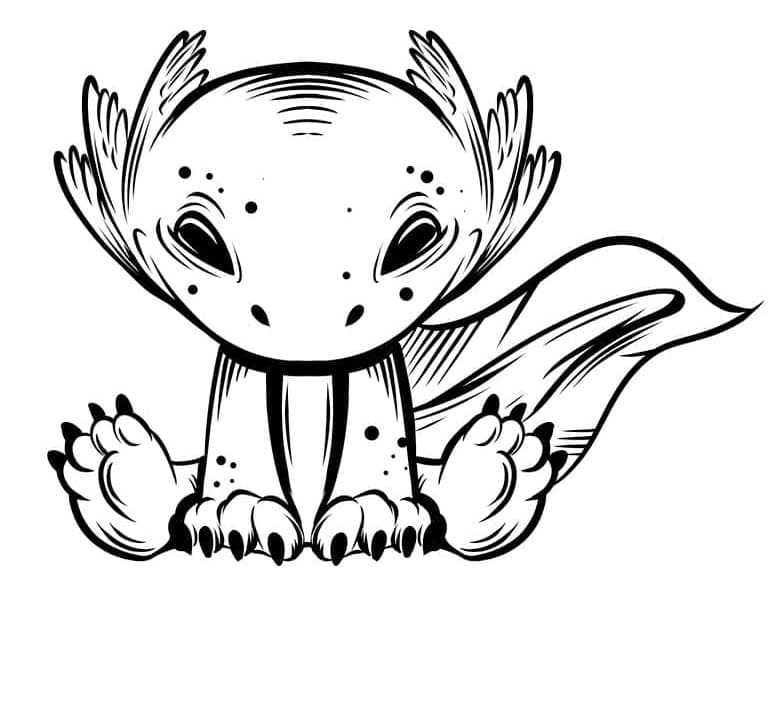 Cute Axolotl Image Printable Coloring Page