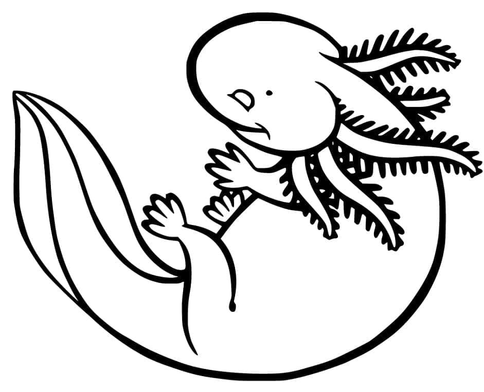 Printable Axolotl For Kid Coloring Page