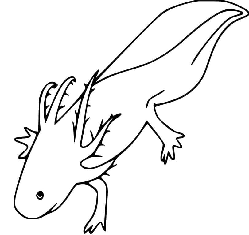 Printable Axolotl Free For Children Coloring Page