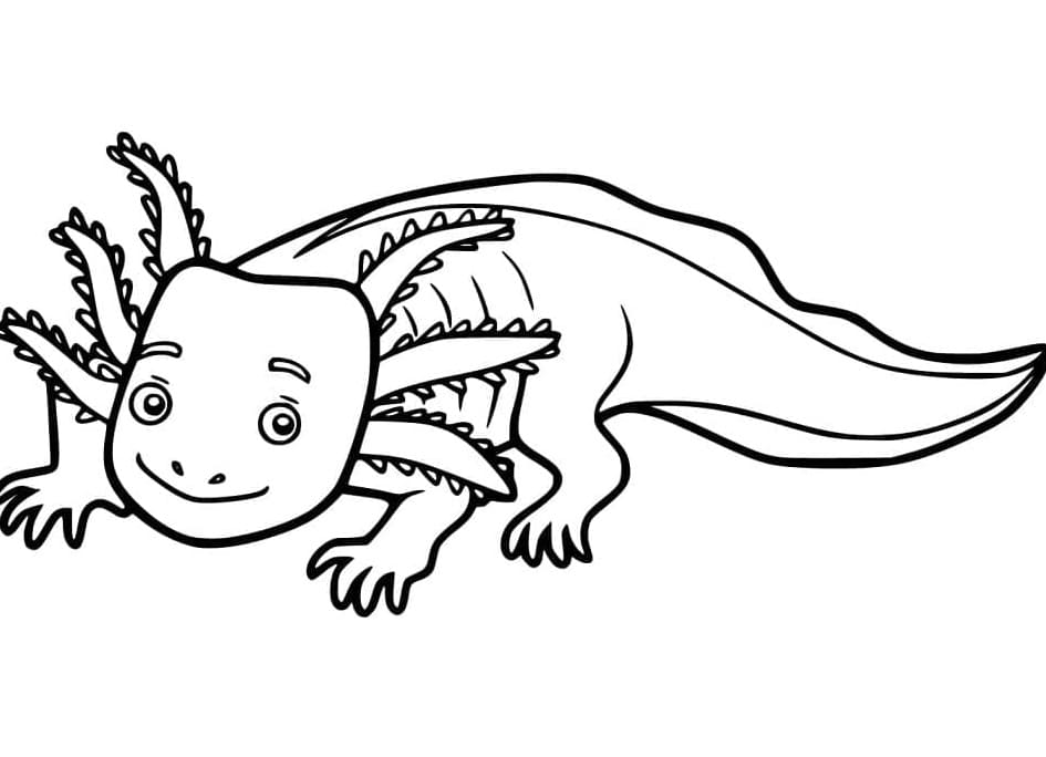 Printable Axolotl Free Image Coloring Page