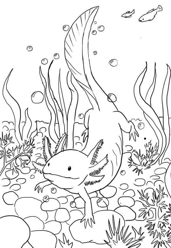 Printable Axolotl is Under Water Coloring Page