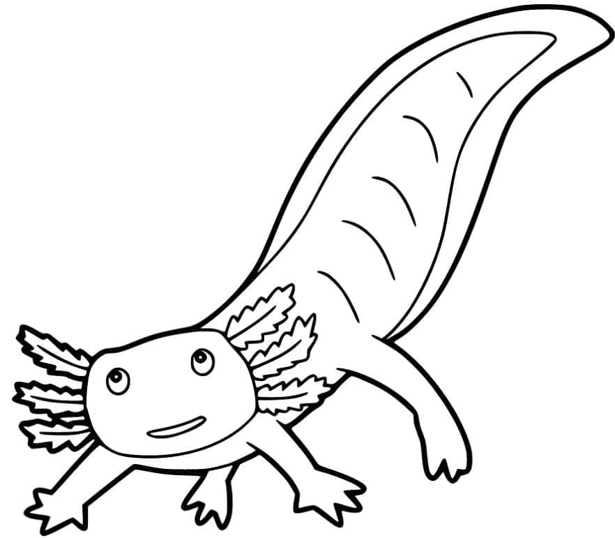 Printable Big Axolotl Coloring Page