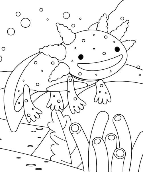 Printable Drawing of Axolotl for Kids Coloring Page