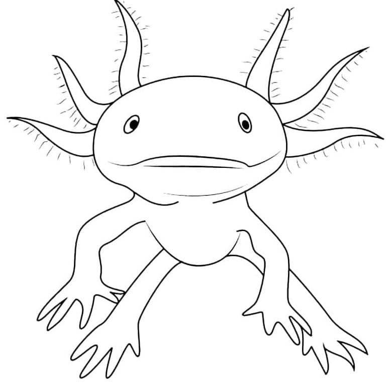 Printable Easy Axolotl Coloring Page