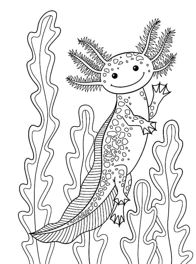 Printable Axolotl is Swimming Coloring Page