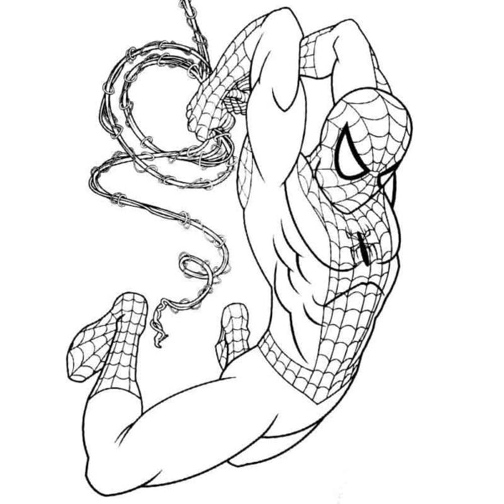 Printable Spider-Man Braced Himself to Throw the Cobwebs Photo Coloring Page