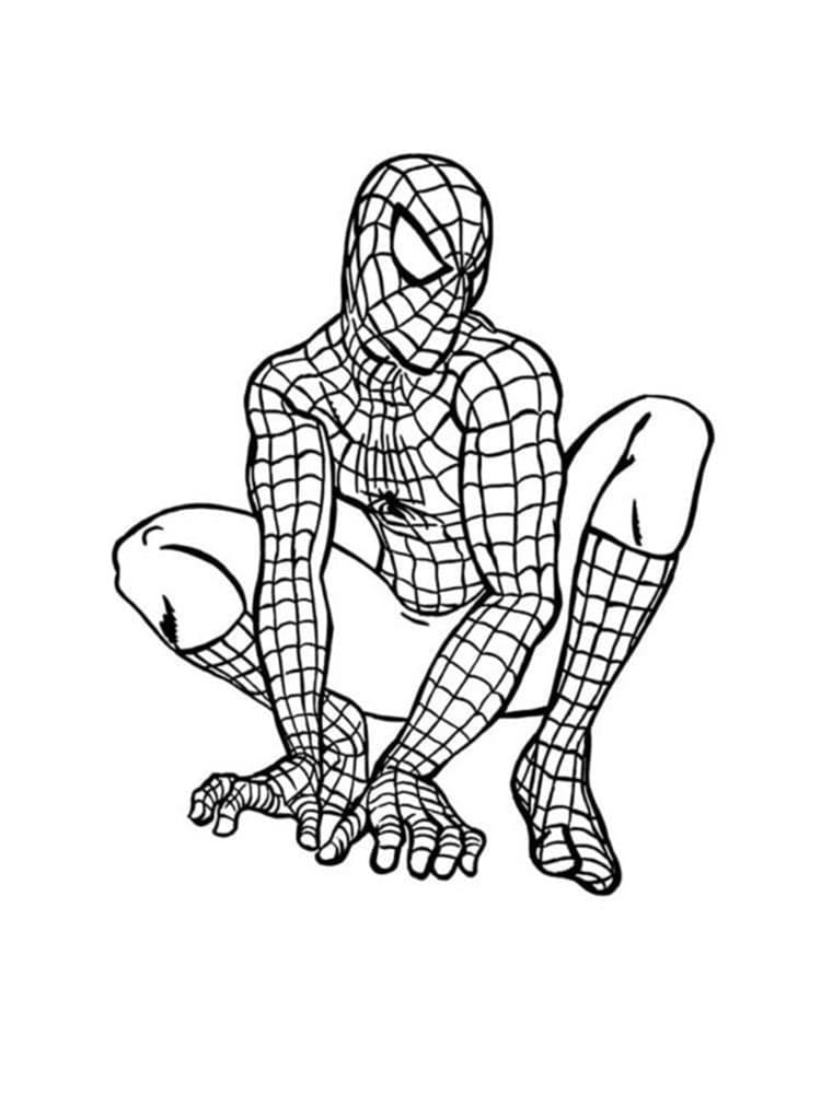 Printable Spider Man Photo Coloring Page