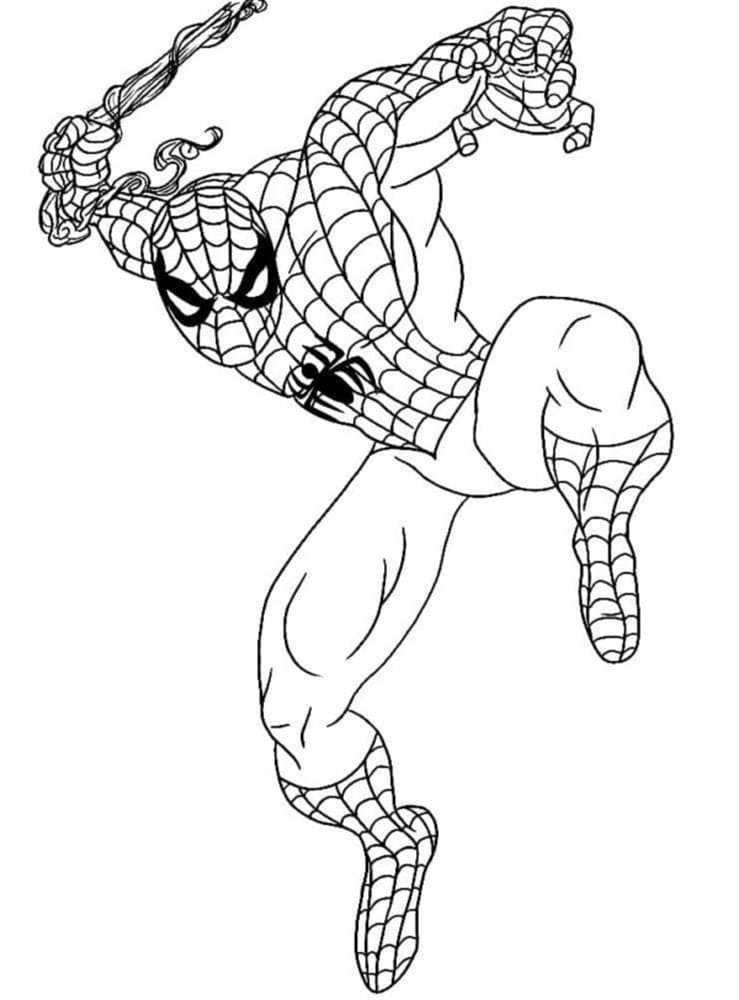 Printable Spider-Man Will Release Image Coloring Page