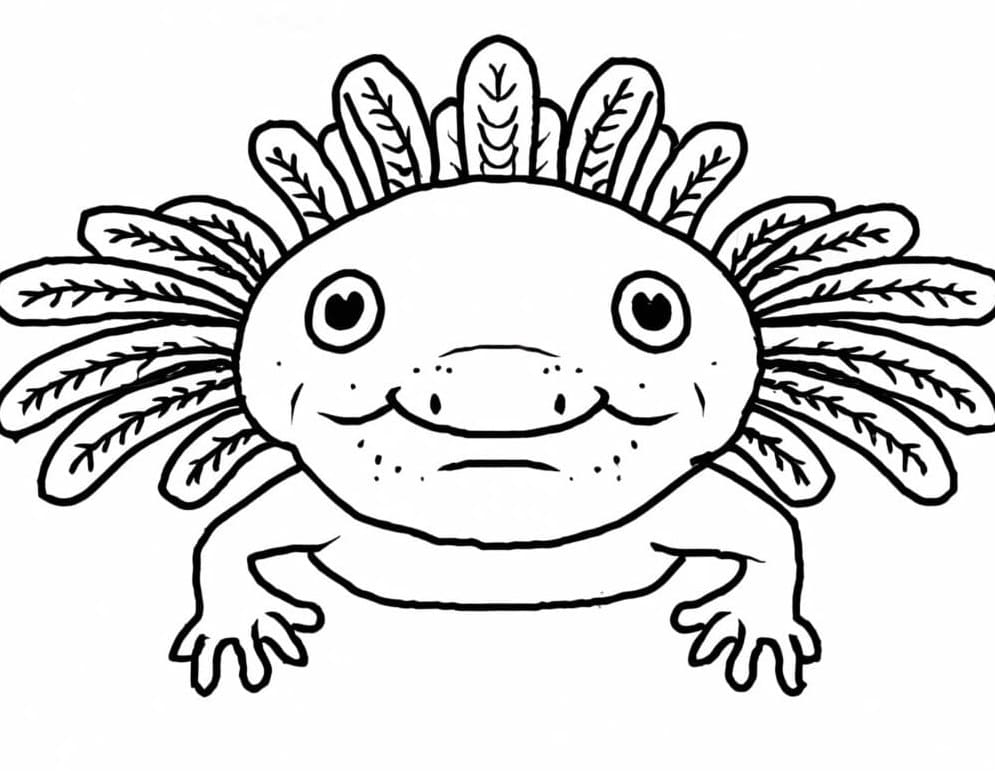 Printable Ugly Axolotl Photo Coloring Page