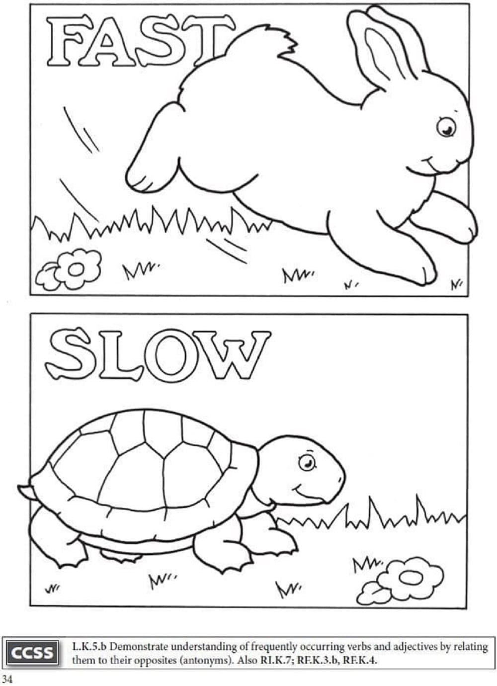 Printable Fast And Slow Opposites Coloring Page