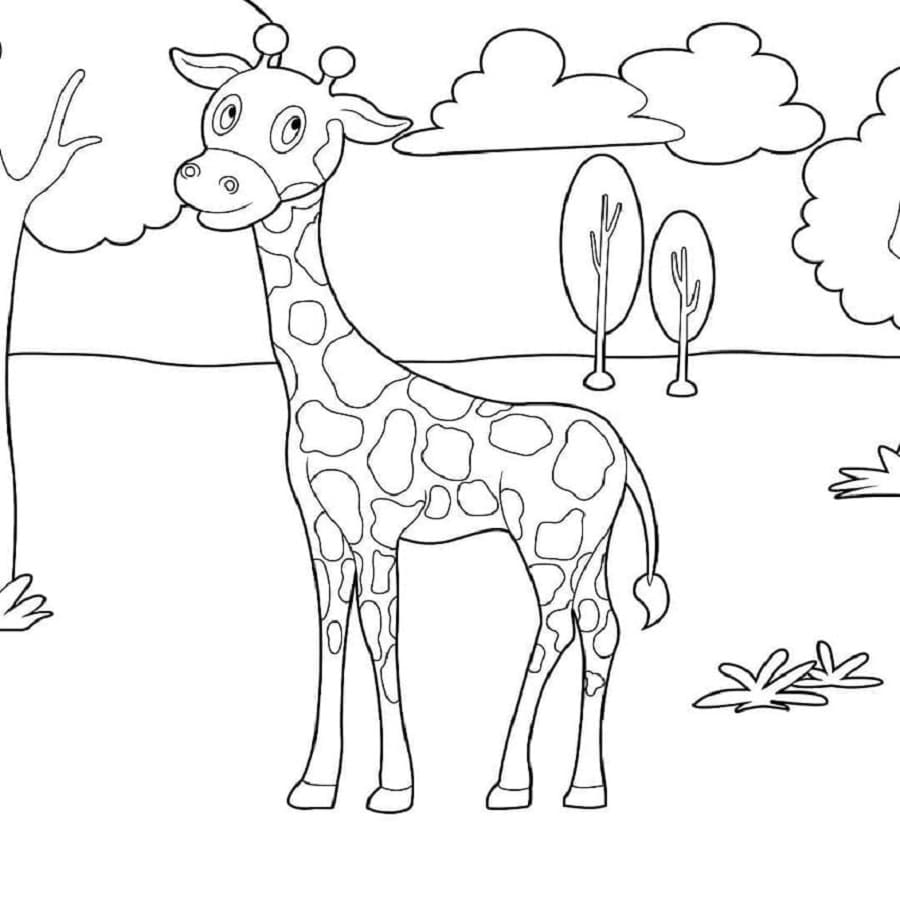 Printable Giraffe from Blippi Coloring Page