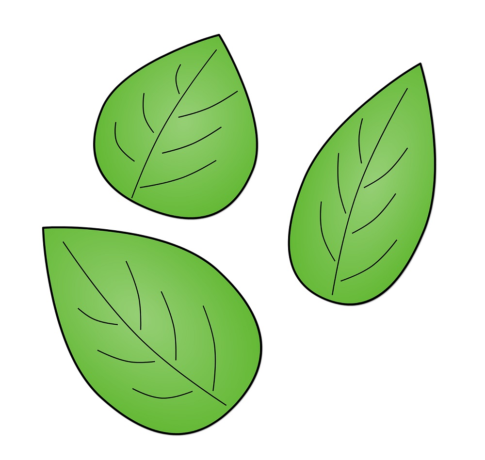 Download Free Leaf Template