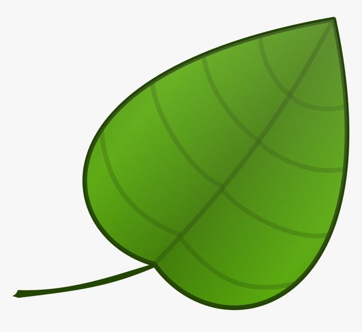 Leaf Shapes Template Printable