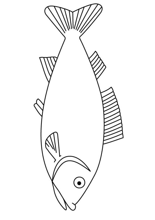 Printable Fish Outline Stencil