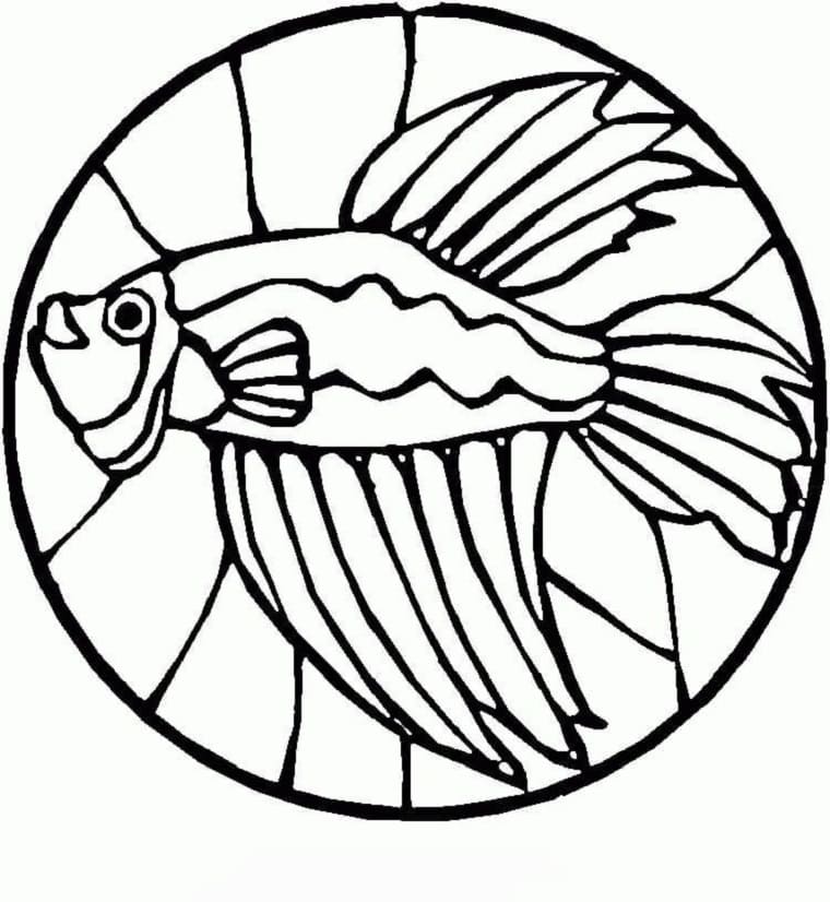 Printable Fish Stained Glass Coloring Page