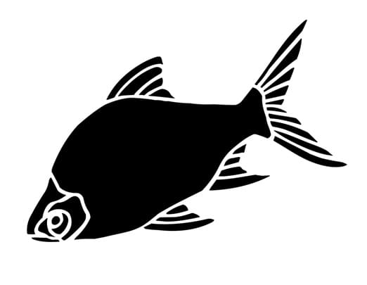 Printable Fish Stencil For Kids