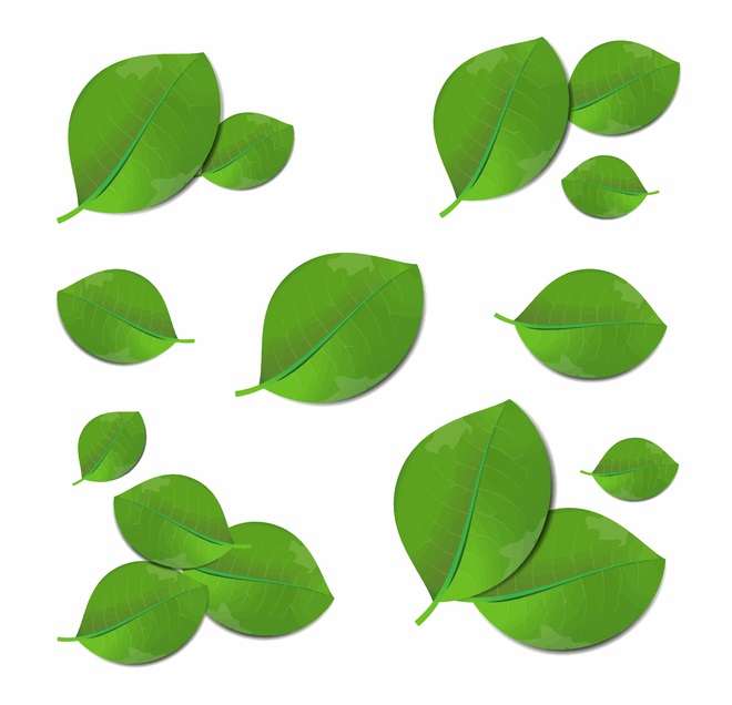 Printable Free Picture of Leaf Template
