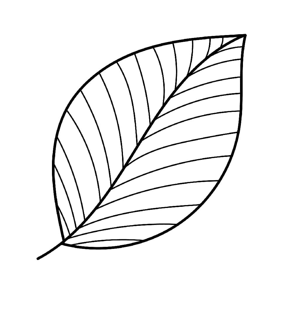Printable Leaf Template Image