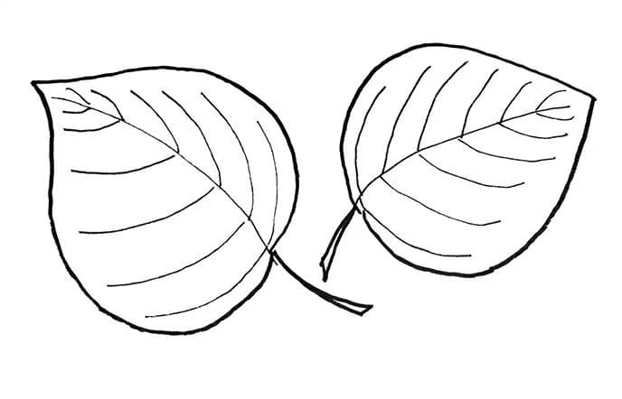 Printable Leaf Template Picture