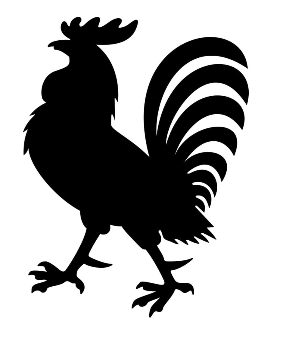 Beautiful Chicken Stencil