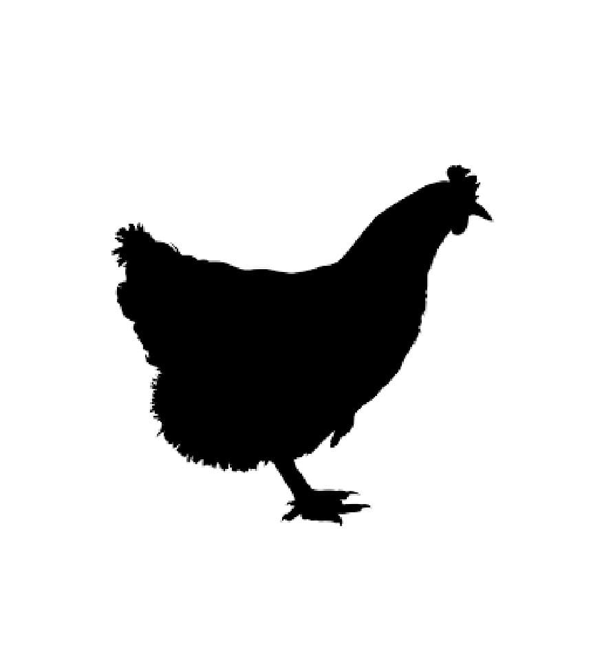 Chicken Stencil Download