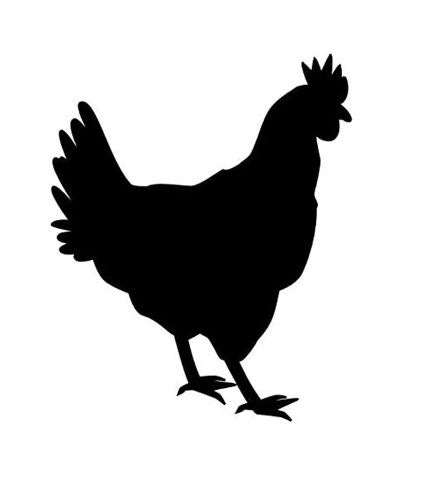 Chicken Stencil For Kid