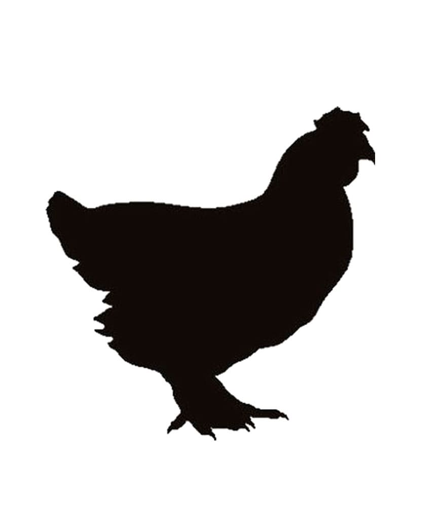 Chicken Stencil Free Pictures