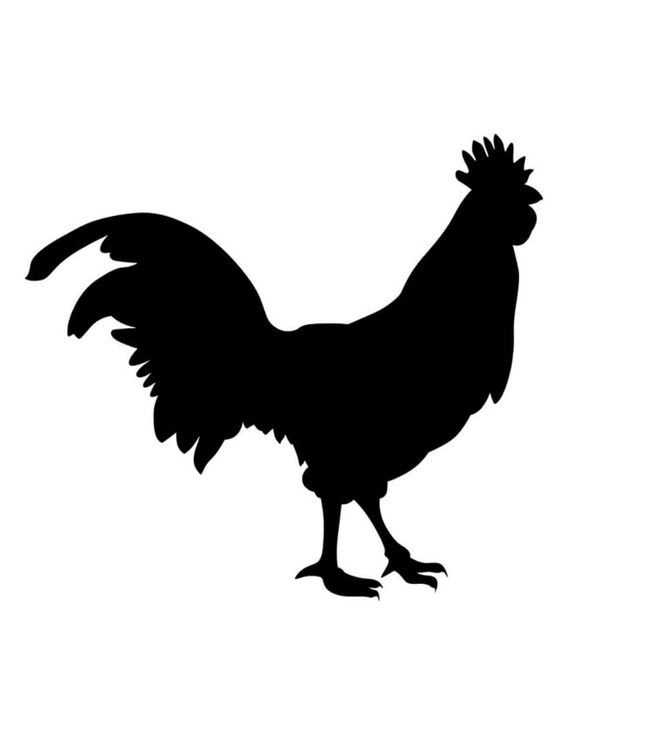Chicken Stencil Photo Download