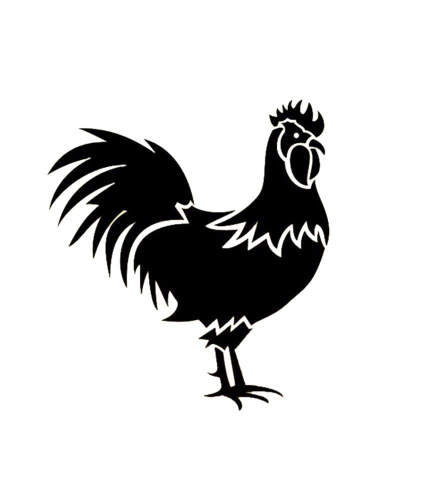 Chicken Stencil Photo