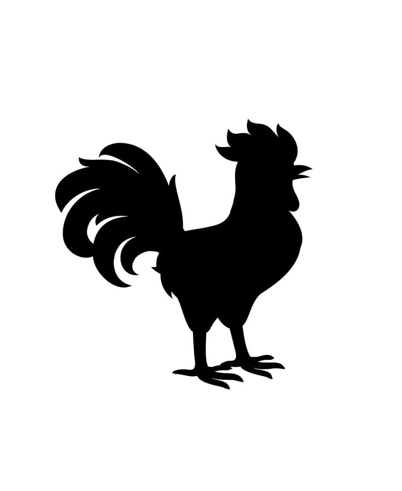 Chicken Stencil Picture