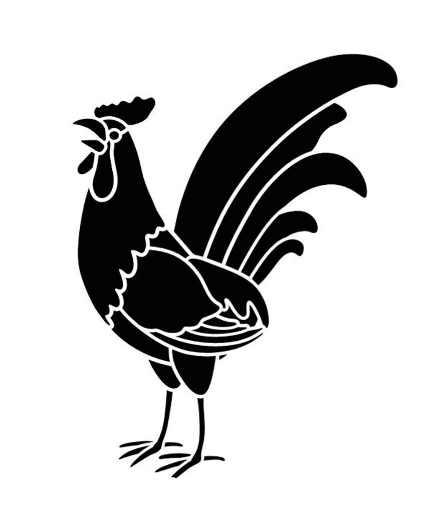 Cool Chicken Stencil