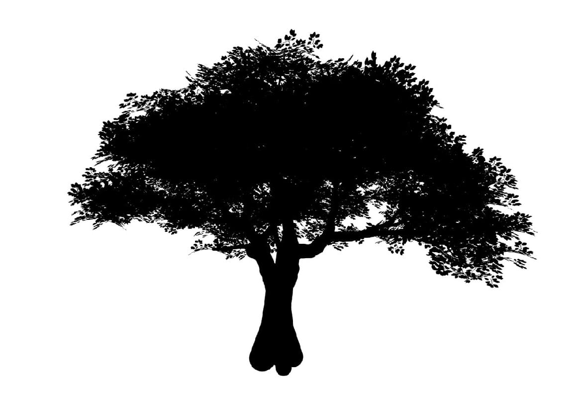 Detailed Tree Stencil
