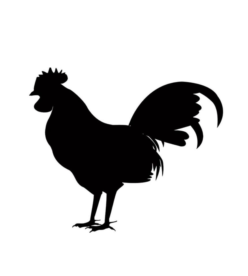 Free Chicken Stencil