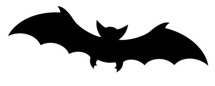 Printable Bat Stencil Image