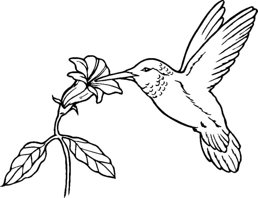 Printable Bird Stencil Download Free For Kids