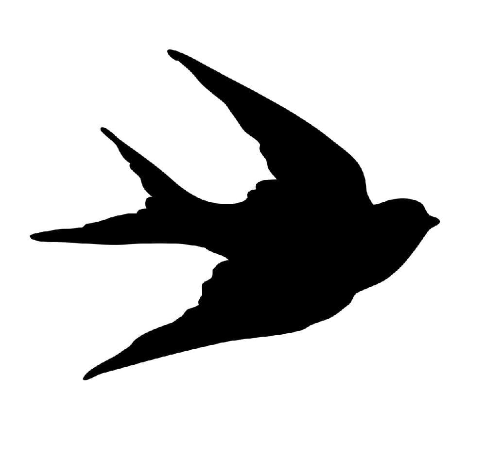 Printable Bird Stencil Free Photo