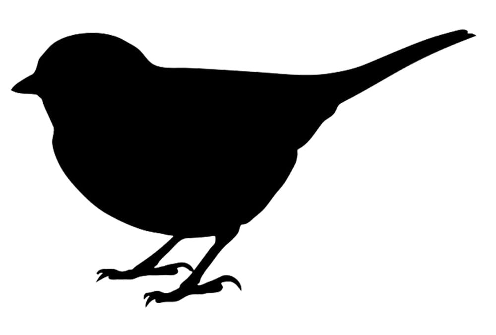 Printable Bird Stencil Image