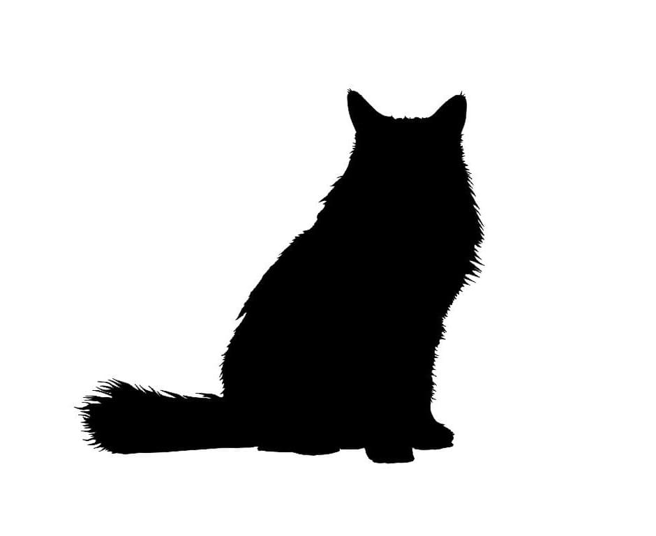 Printable Cat Stencil Free Photo