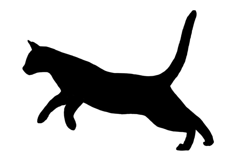 Printable Cat Stencil Image