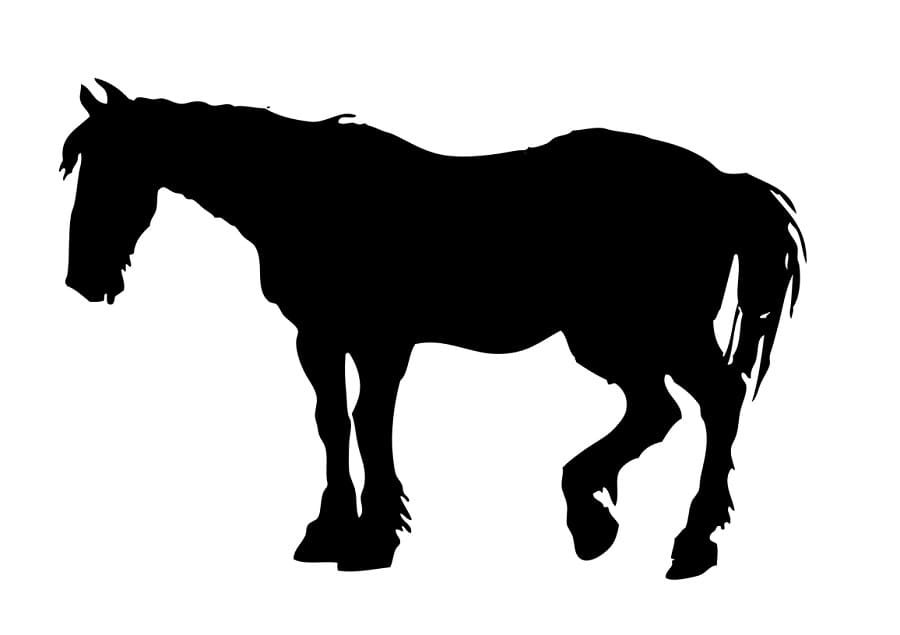 Printable Horse Stencil Image