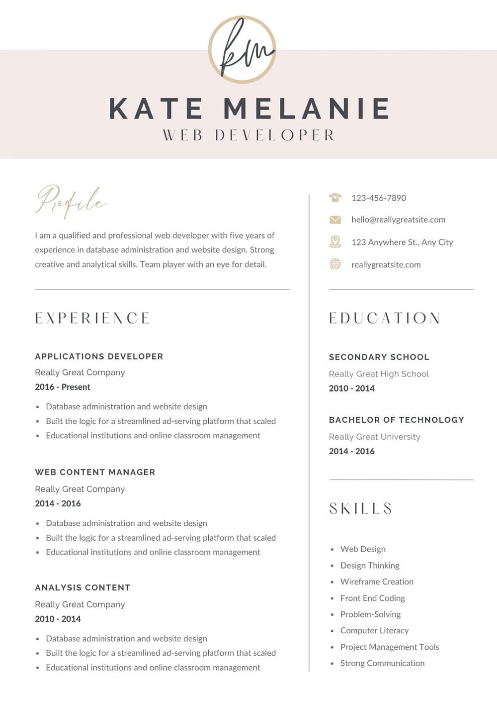 Resume Template Free Picture